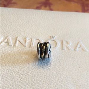 Authentic Pandora Twist Charm